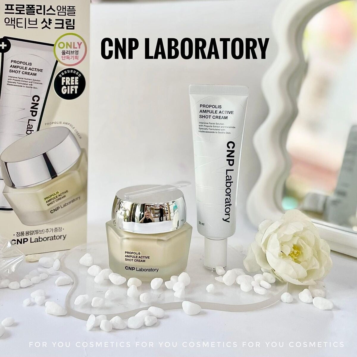 CNP Propolis Ampule Active Shot Cream Special Edition 50ml + 50ml