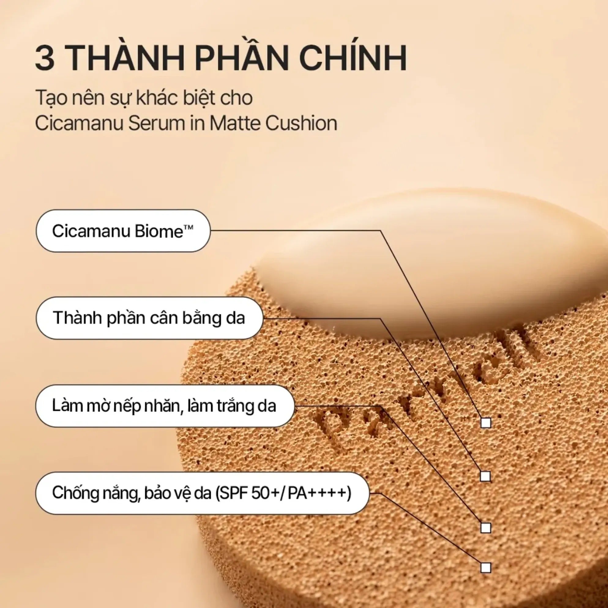 PARNELL Cicamanu Serum Cushion 15g