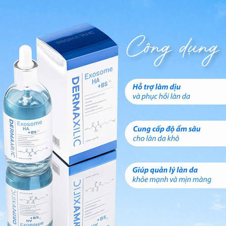 DERMAXILIC Exosome HA + B5 Ampoule 100ml
