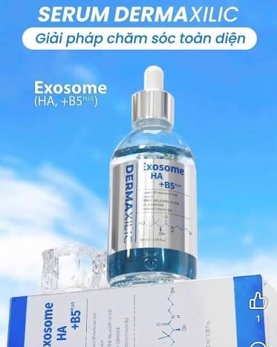DERMAXILIC Exosome HA + B5 Ampoule 100ml