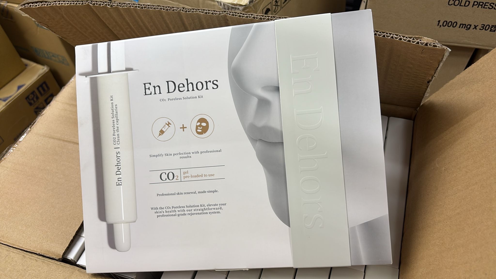 EN DEHORS CO2 Poreless Solution Kit